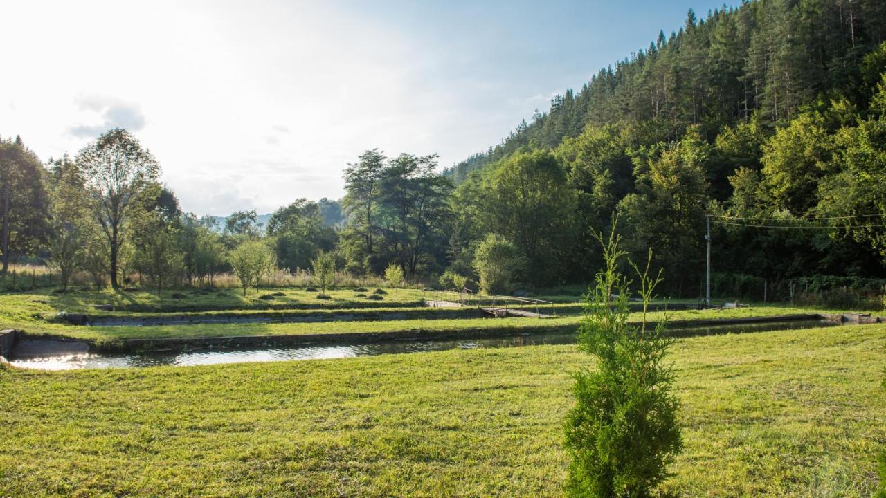 Къща За Гости Черна Река Ribarica Exteriér fotografie