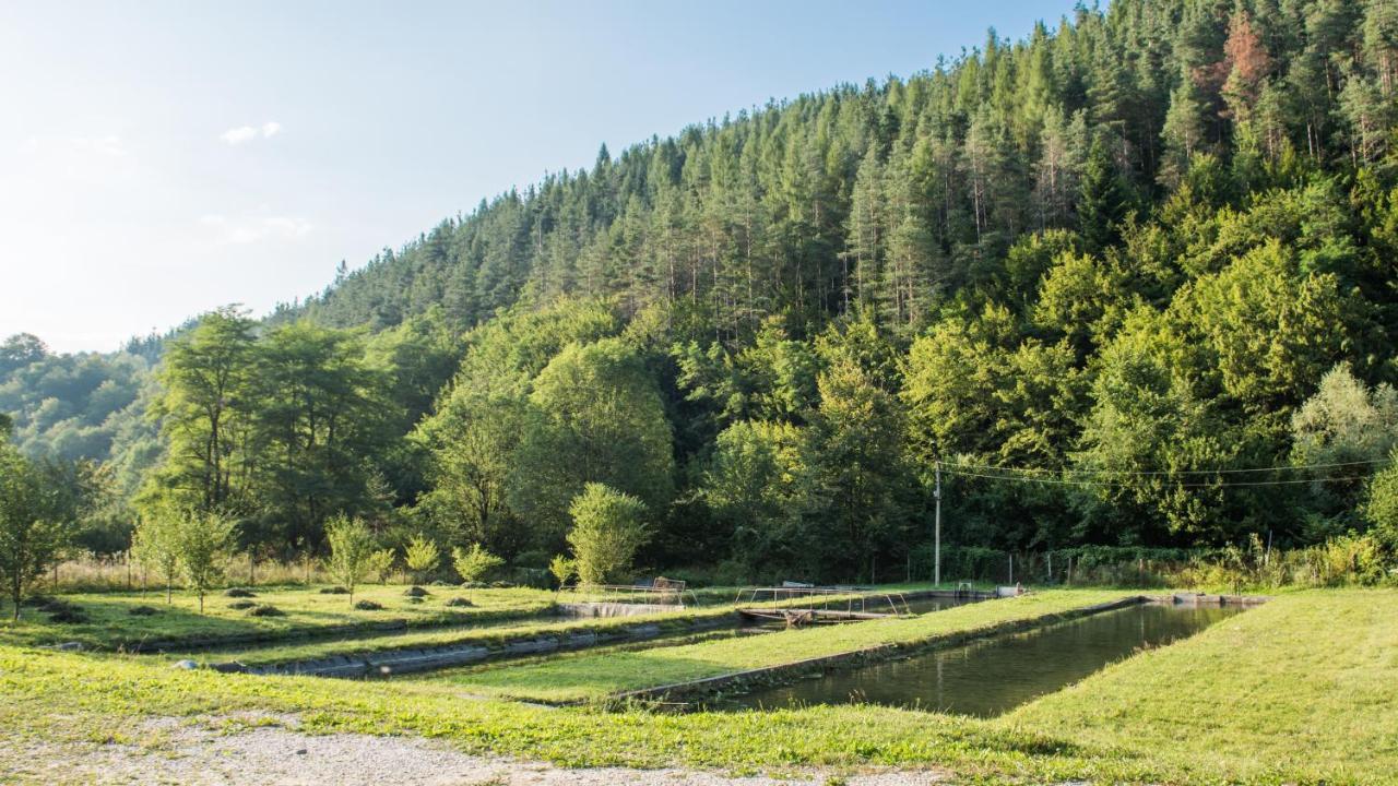 Къща За Гости Черна Река Ribarica Exteriér fotografie